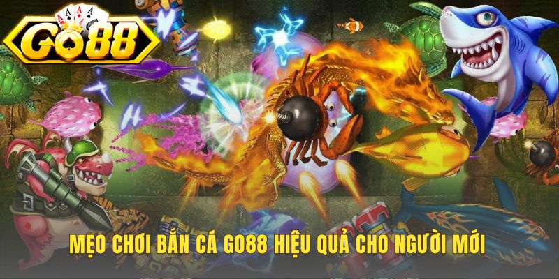 Mẹo chơi hiệu quả ứng dụng chiến thuật săn thưởng thông minh