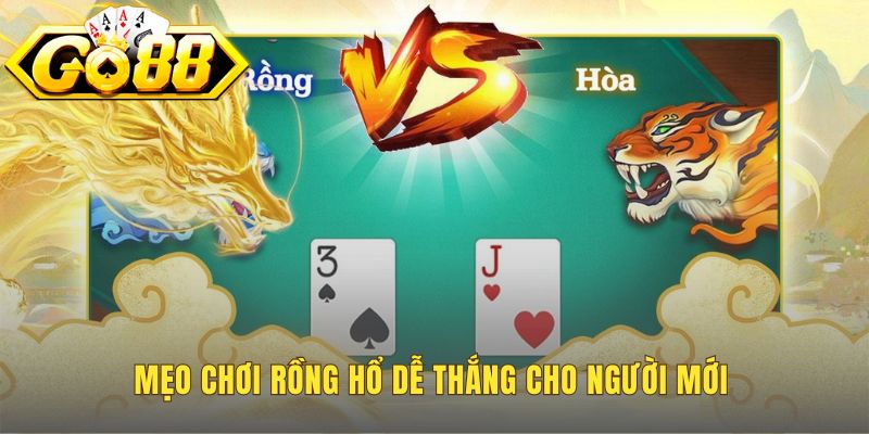 Mẹo chơi hiệu quả tầm quan trọng của quản lý vốn thông minh